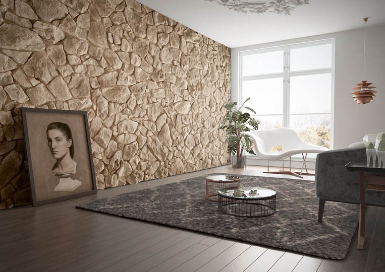 Pièce avec un tapis, parquet et pant de mur en pierre de parement acl vénus sable