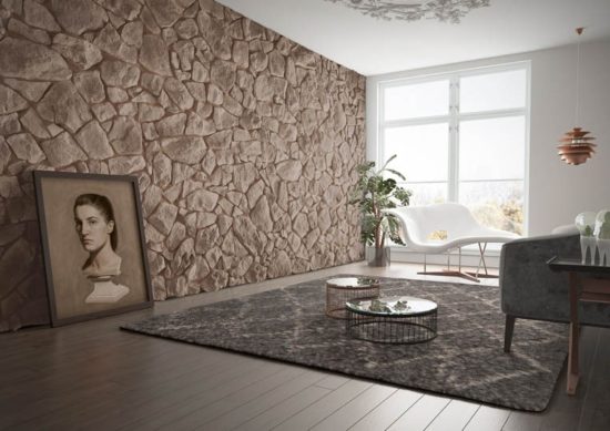 Pièce avec un tapis, parquet et pant de mur en pierre de parement acl vénus café