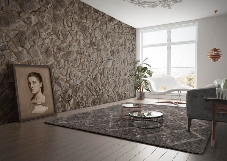 Pièce avec un tapis, parquet et pant de mur en pierre de parement acl vénus gris